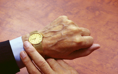 Anleihen: Zulassungen ( 20. Oktober – 03. November&hellip;